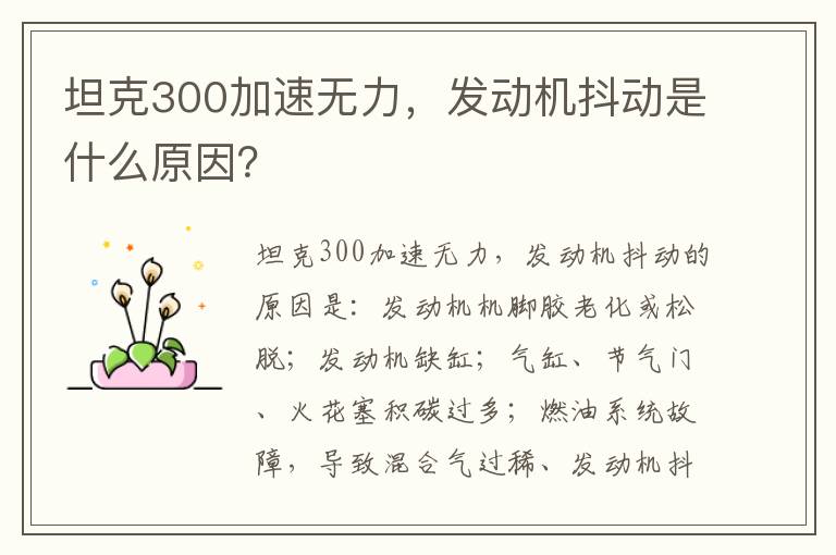 发动机抖动是什么原因 坦克300加速无力