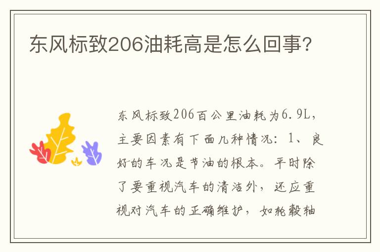 东风标致206油耗高是怎么回事 东风标致206油耗高是怎么回事