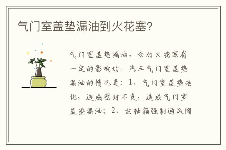 气门室盖垫漏油到火花塞 气门室盖垫漏油到火花塞