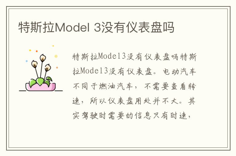 3没有仪表盘吗 特斯拉Model