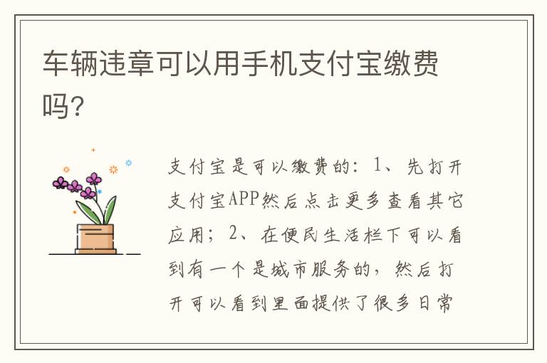 车辆违章可以用手机支付宝缴费吗 车辆违章可以用手机支付宝缴费吗