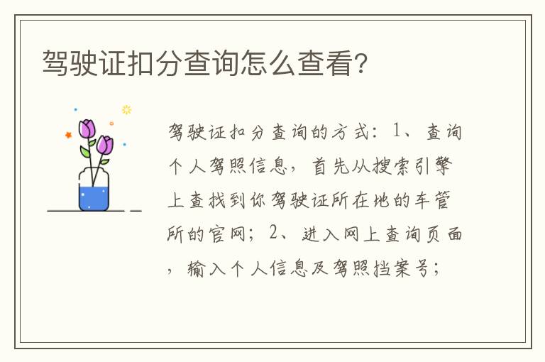 驾驶证扣分查询怎么查看 驾驶证扣分查询怎么查看