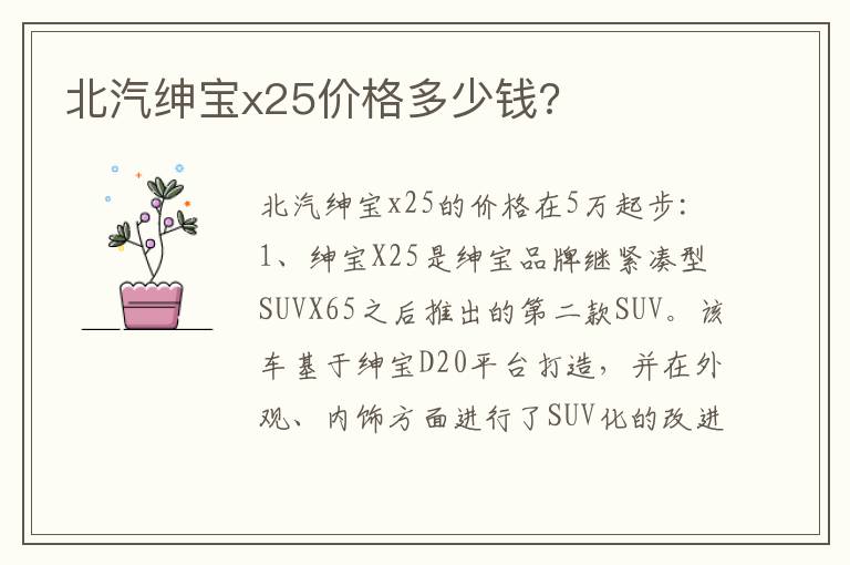 北汽绅宝x25价格多少钱 北汽绅宝x25价格多少钱