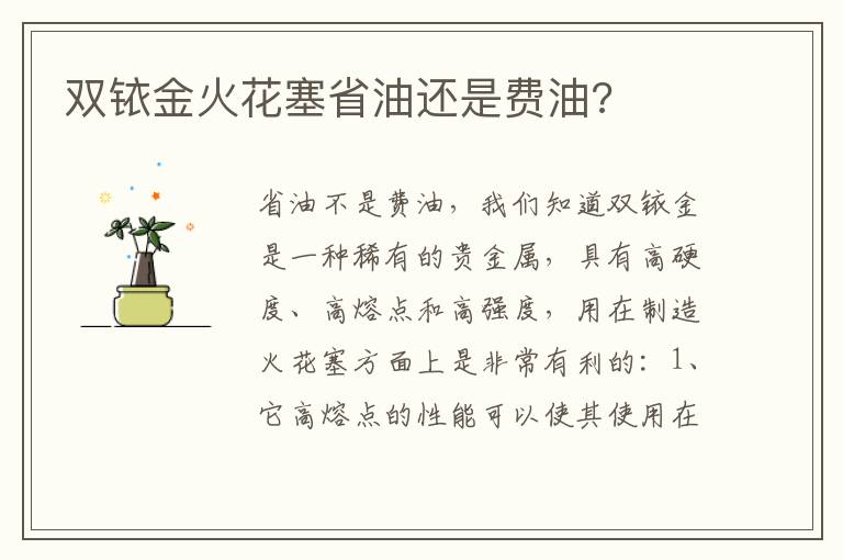 双铱金火花塞省油还是费油 双铱金火花塞省油还是费油