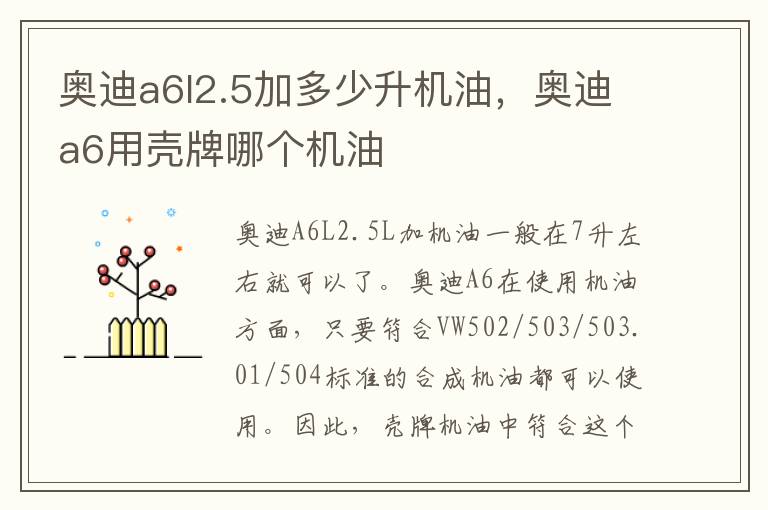 奥迪a6用壳牌哪个机油 奥迪a6l2.5加多少升机油