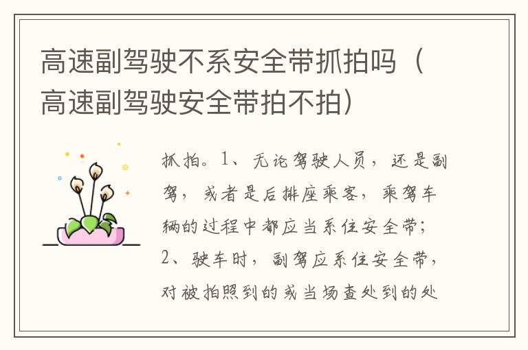 高速副驾驶安全带拍不拍 高速副驾驶不系安全带抓拍吗