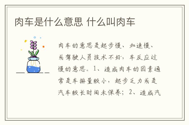 什么叫肉车 肉车是什么意思