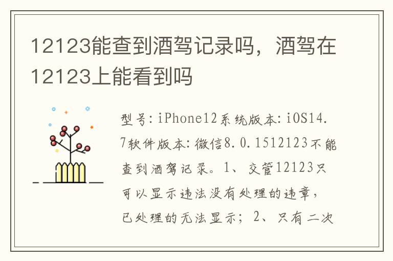 酒驾在12123上能看到吗 12123能查到酒驾记录吗