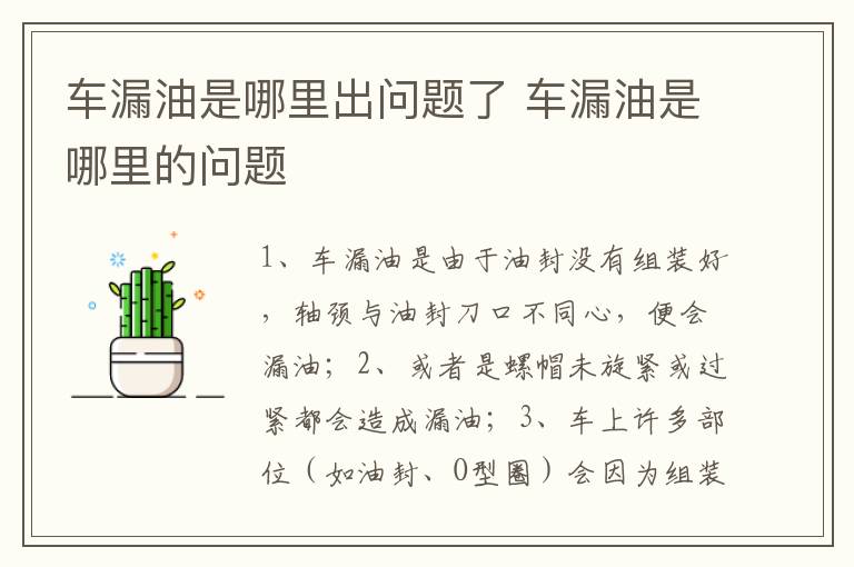 车漏油是哪里的问题 车漏油是哪里出问题了