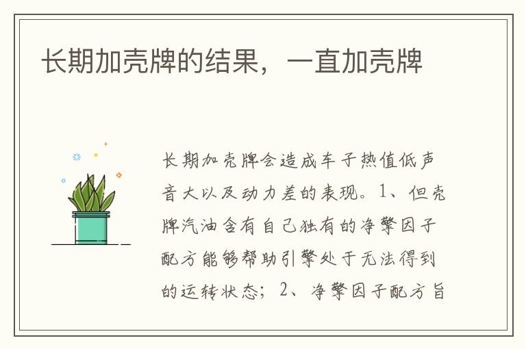一直加壳牌 长期加壳牌的结果