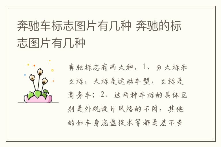 奔驰的标志图片有几种 奔驰车标志图片有几种