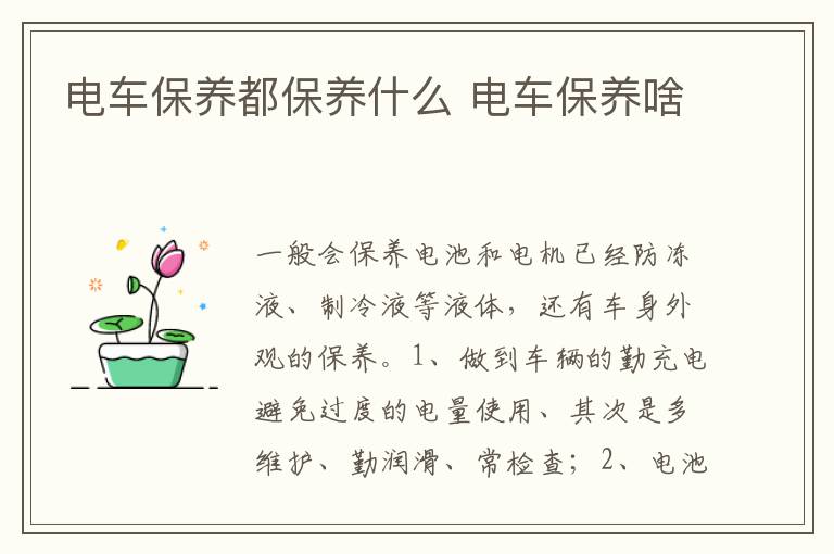 电车保养啥 电车保养都保养什么