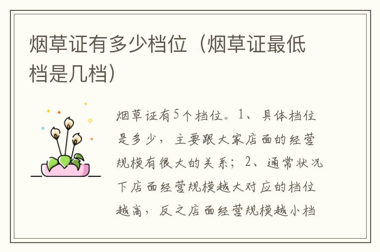 烟草证最低档是几档 烟草证有多少档位