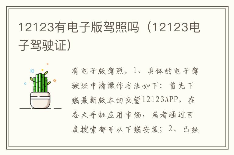 12123电子驾驶证 12123有电子版驾照吗