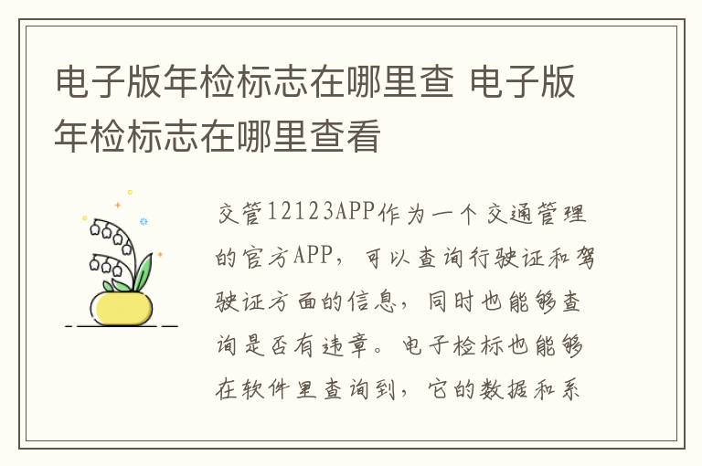 电子版年检标志在哪里查看 电子版年检标志在哪里查