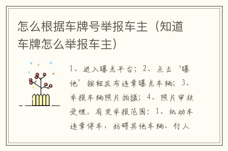 知道车牌怎么举报车主 怎么根据车牌号举报车主