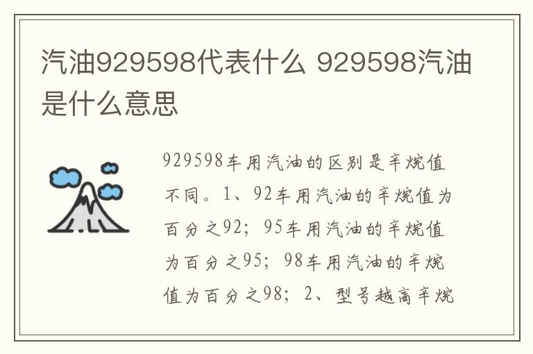 929598汽油是什么意思 汽油929598代表什么