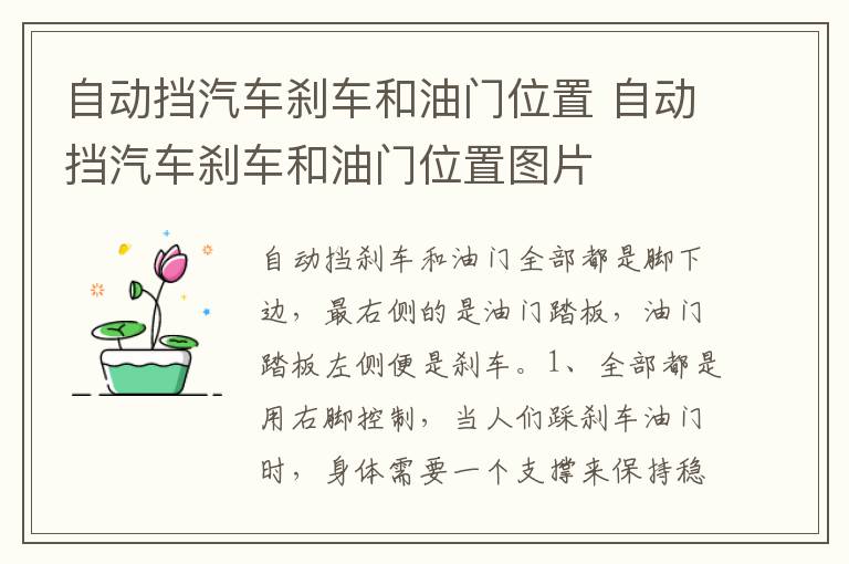 自动挡汽车刹车和油门位置图片 自动挡汽车刹车和油门位置