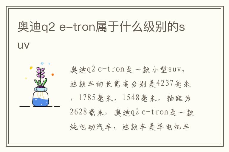 e-tron属于什么级别的suv 奥迪q2