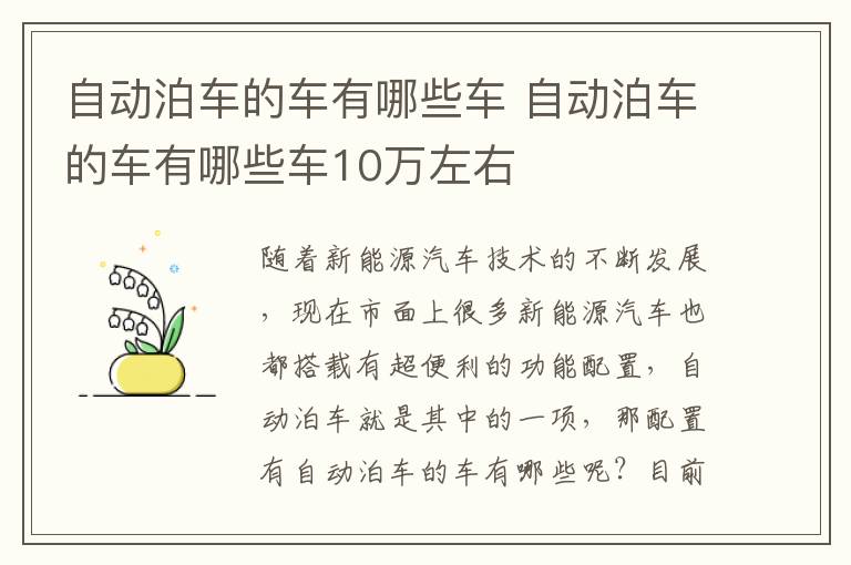 自动泊车的车有哪些车10万左右 自动泊车的车有哪些车