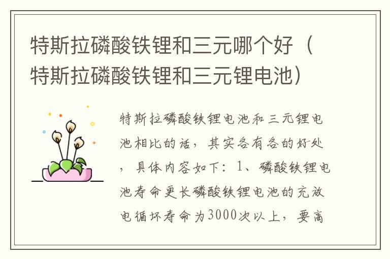 特斯拉磷酸铁锂和三元锂电池 特斯拉磷酸铁锂和三元哪个好
