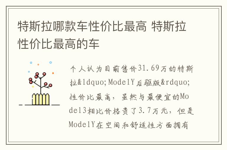 特斯拉性价比最高的车 特斯拉哪款车性价比最高