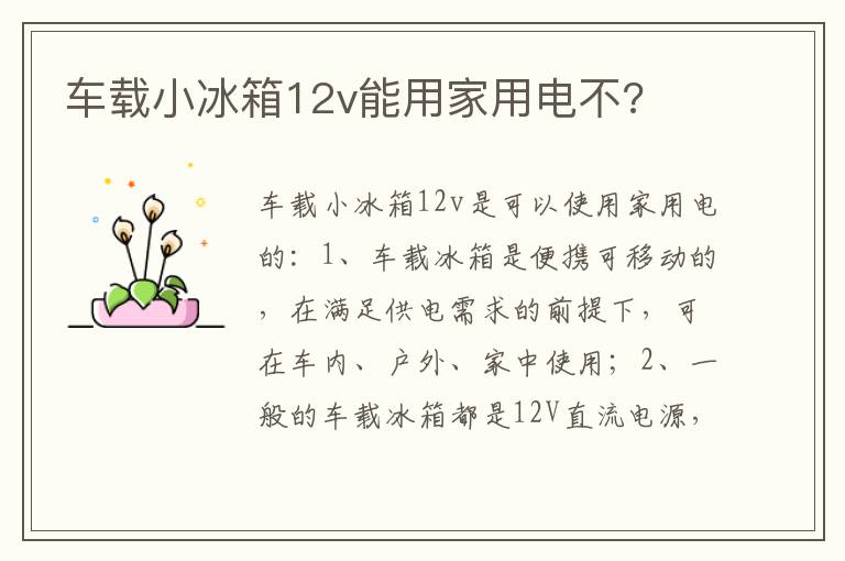 车载小冰箱12v能用家用电不 车载小冰箱12v能用家用电不