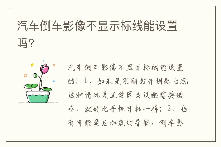 汽车倒车影像不显示标线能设置吗 汽车倒车影像不显示标线能设置吗