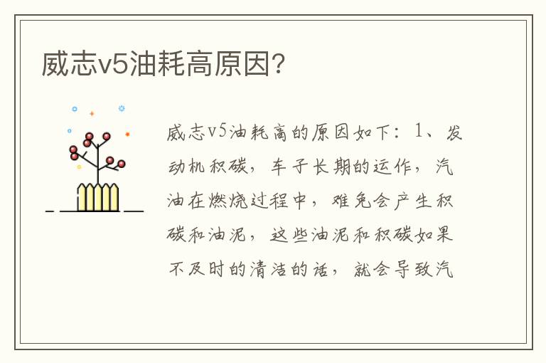 威志v5油耗高原因 威志v5油耗高原因