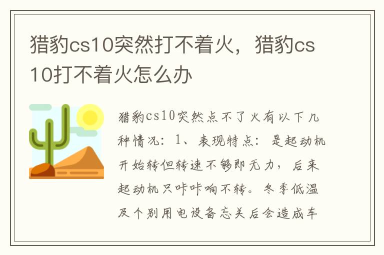 猎豹cs10打不着火怎么办 猎豹cs10突然打不着火