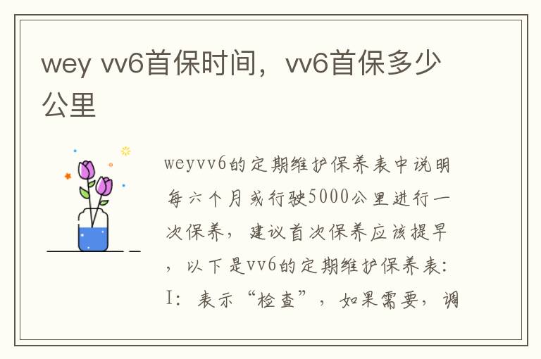 vv6首保时间 vv6首保多少公里 wey