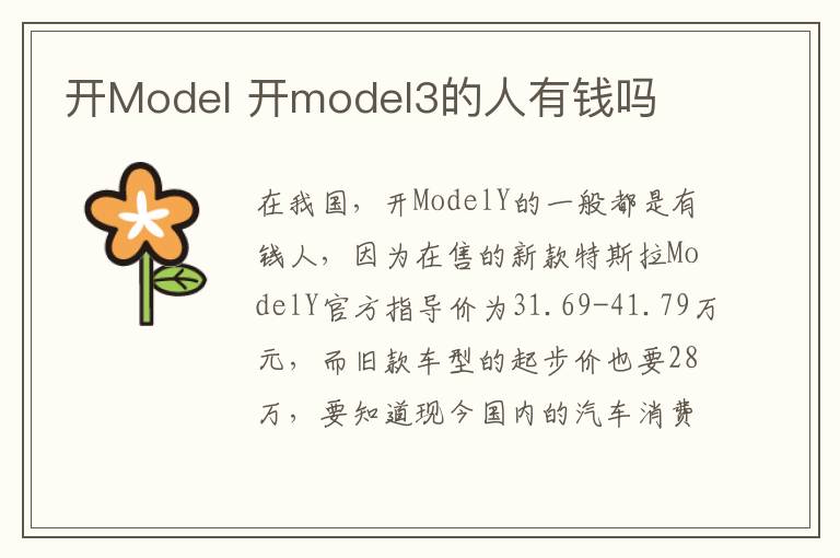 开model3的人有钱吗 开Model