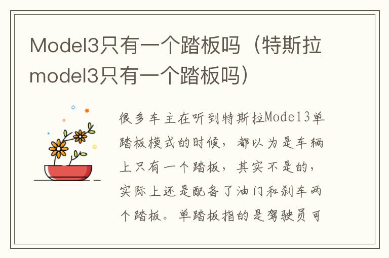 特斯拉model3只有一个踏板吗 Model3只有一个踏板吗