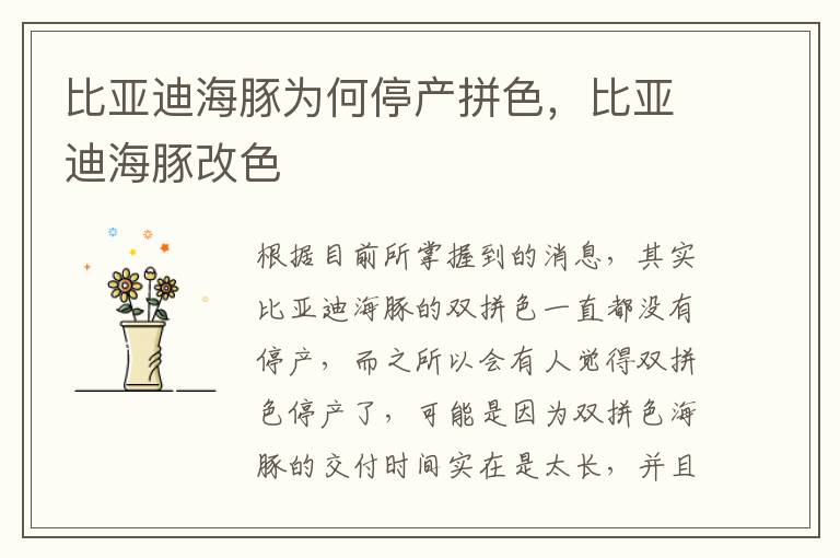 比亚迪海豚改色 比亚迪海豚为何停产拼色