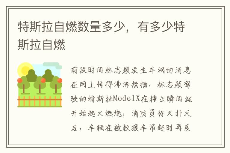 有多少特斯拉自燃 特斯拉自燃数量多少