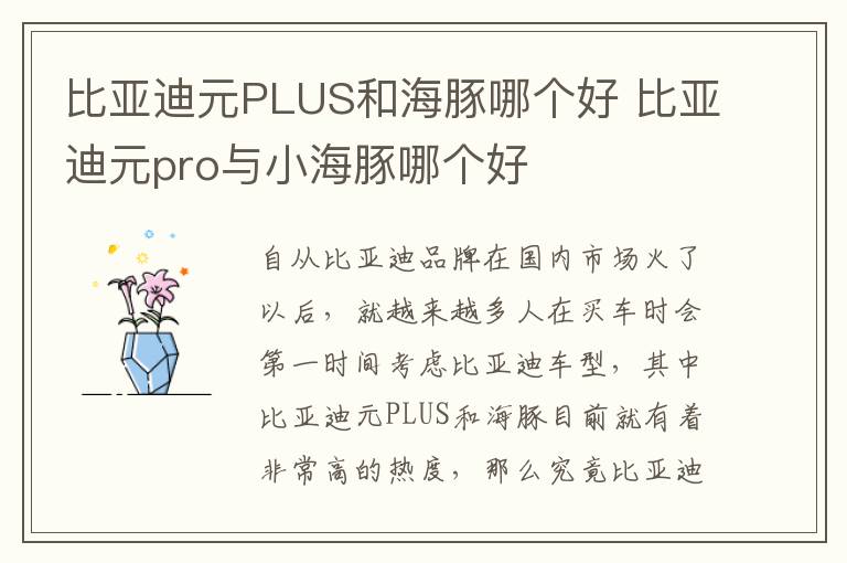 比亚迪元pro与小海豚哪个好 比亚迪元PLUS和海豚哪个好
