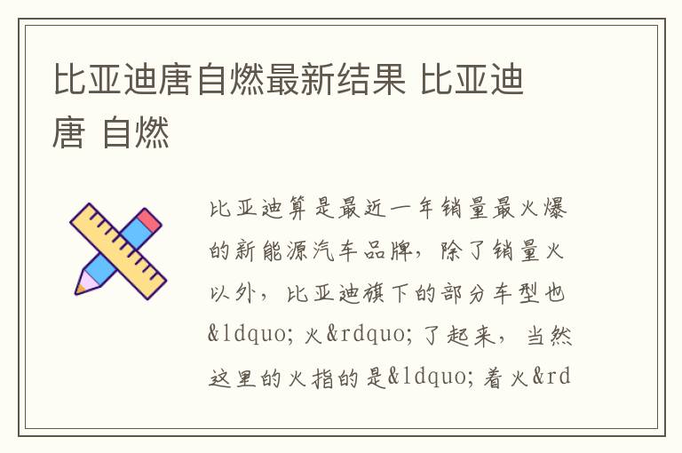 比亚迪 唐 自燃 比亚迪唐自燃最新结果