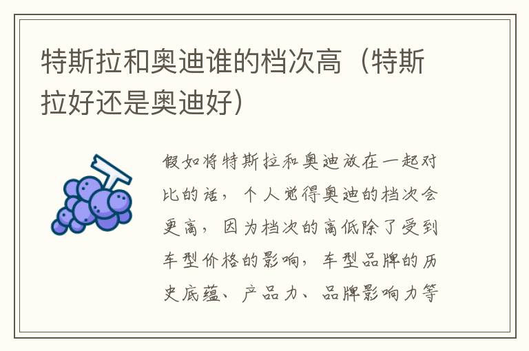 特斯拉好还是奥迪好 特斯拉和奥迪谁的档次高