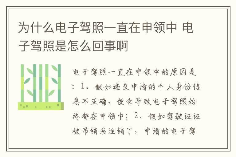 电子驾照是怎么回事啊 为什么电子驾照一直在申领中