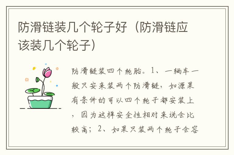 防滑链应该装几个轮子 防滑链装几个轮子好