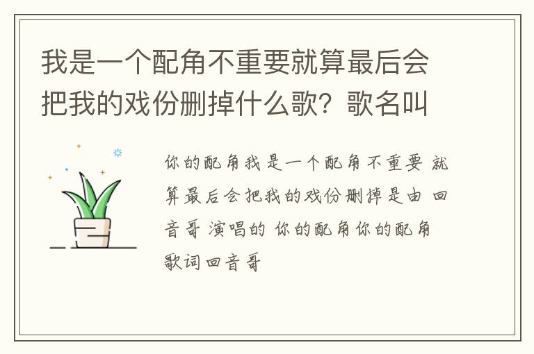 歌名叫什么 我是一个配角不重要就算最后会把我的戏份删掉什么歌