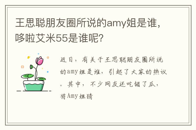 哆啦艾米55是谁呢 王思聪朋友圈所说的amy姐是谁