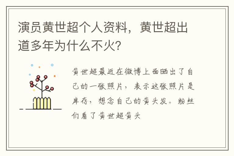 黄世超出道多年为什么不火 演员黄世超个人资料