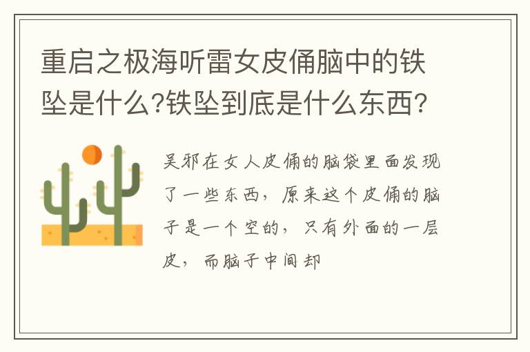 铁坠到底是什么东西 重启之极海听雷女皮俑脑中的铁坠是什么