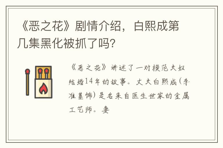 白熙成第几集黑化被抓了吗 《恶之花》剧情介绍