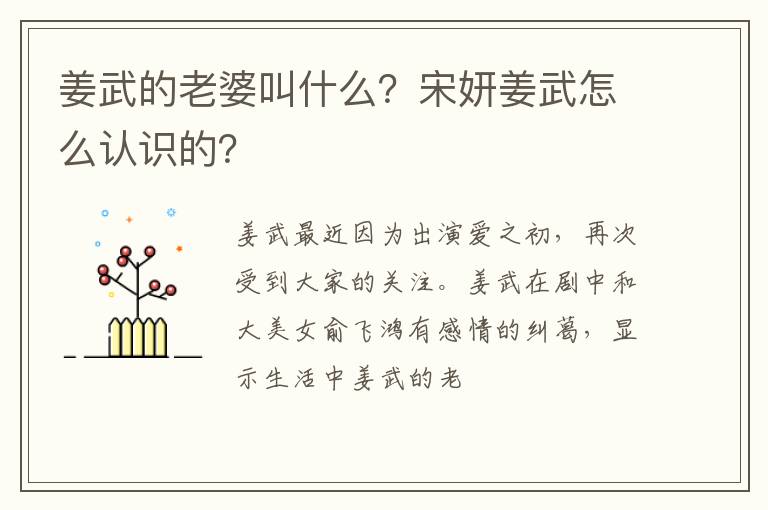 宋妍姜武怎么认识的 姜武的老婆叫什么