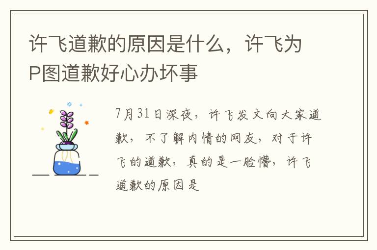 许飞为P图道歉好心办坏事 许飞道歉的原因是什么