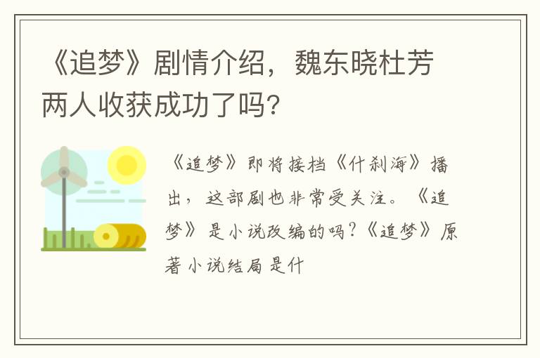 魏东晓杜芳两人收获成功了吗 《追梦》剧情介绍