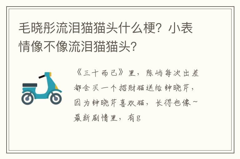 小表情像不像流泪猫猫头 毛晓彤流泪猫猫头什么梗