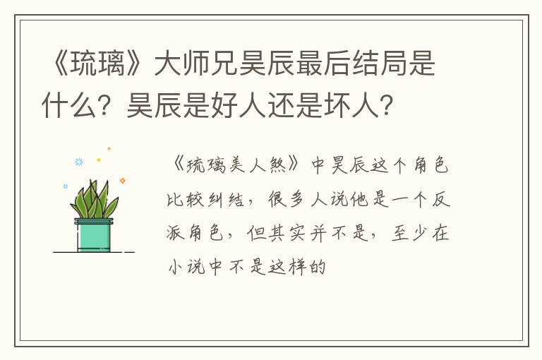 昊辰是好人还是坏人 《琉璃》大师兄昊辰最后结局是什么